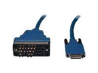 CAB-SS-V35MT=-Cisco - V.35 cable (DTE)